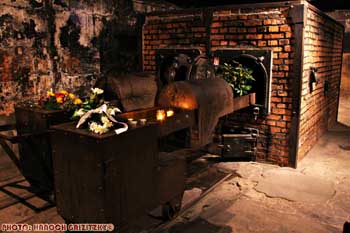 IMG_ (11845)